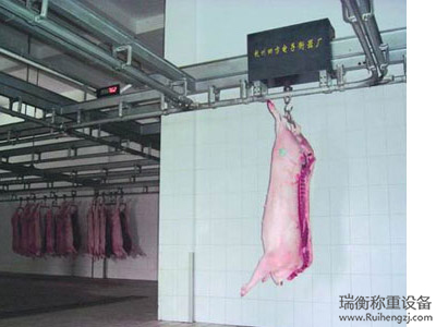 懸軌秤