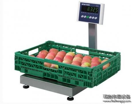 寧波地磅中計量特性